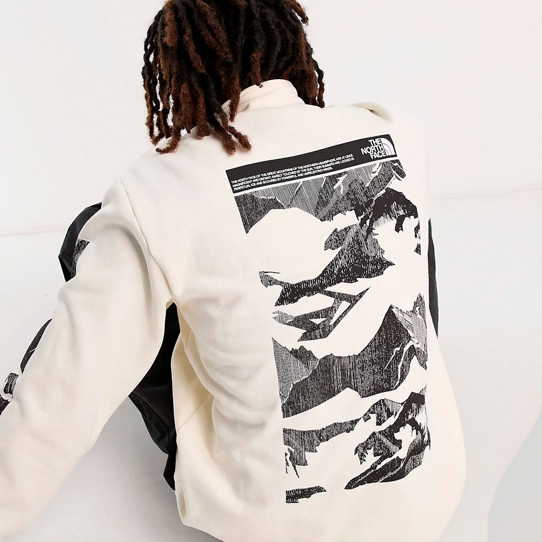 Buzo the north face 1/4 zip Mountain