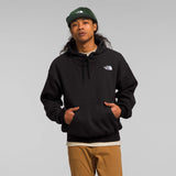 Hoodie the north face Evo en negro