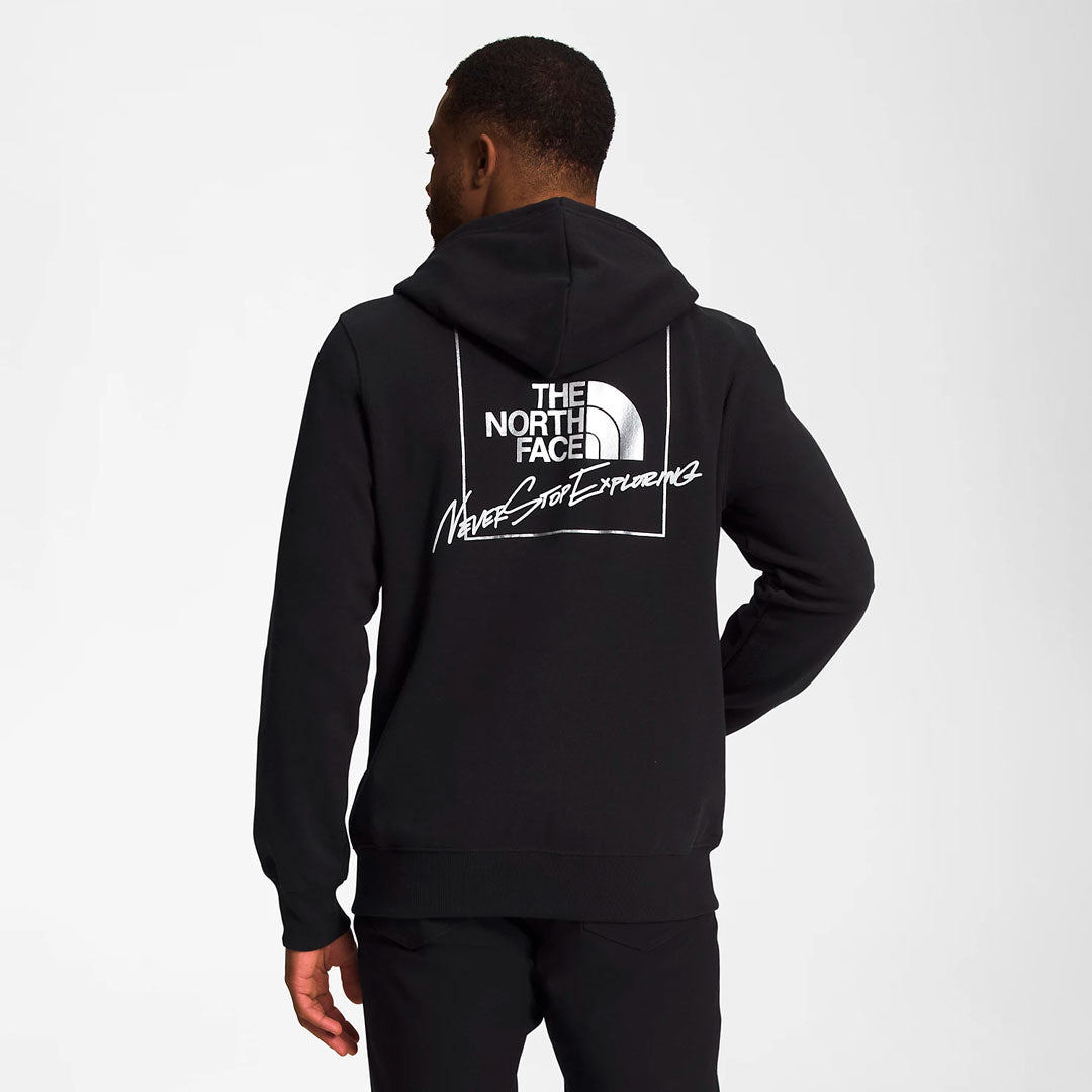 Hoodie the north face Metallic Silver en negro