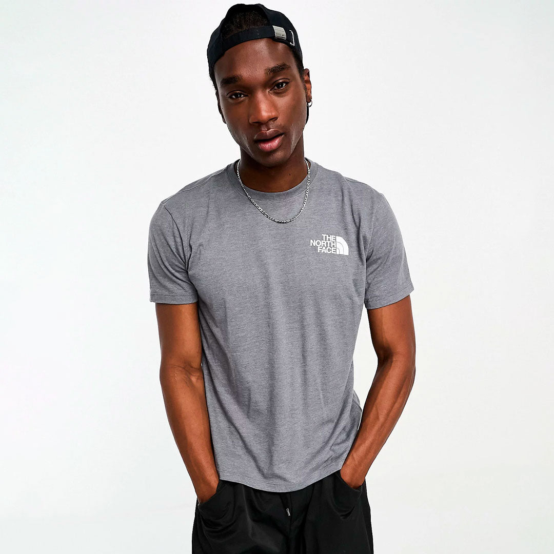 Camiseta the north face Mountain en gris