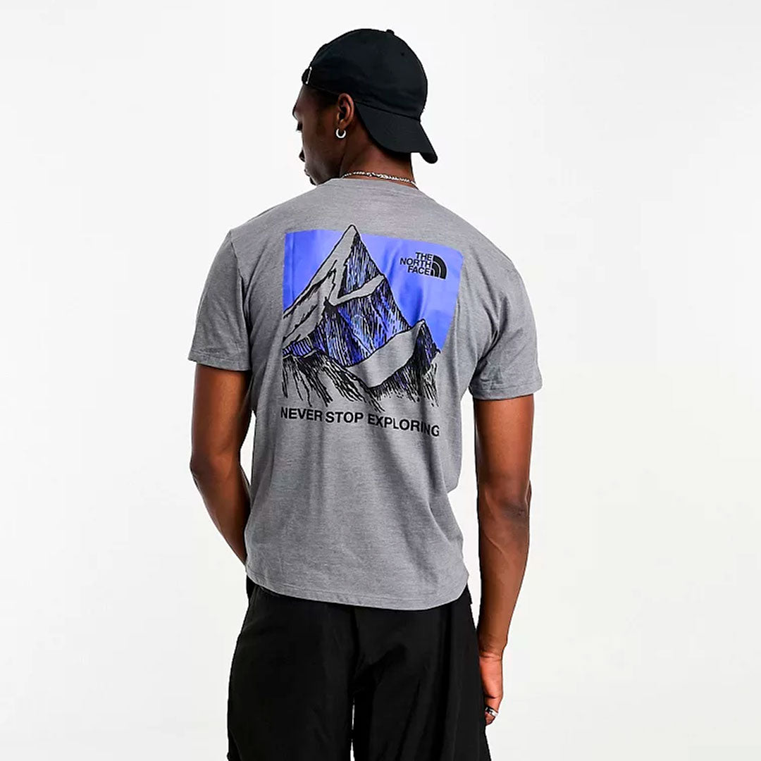 Camiseta the north face Mountain en gris