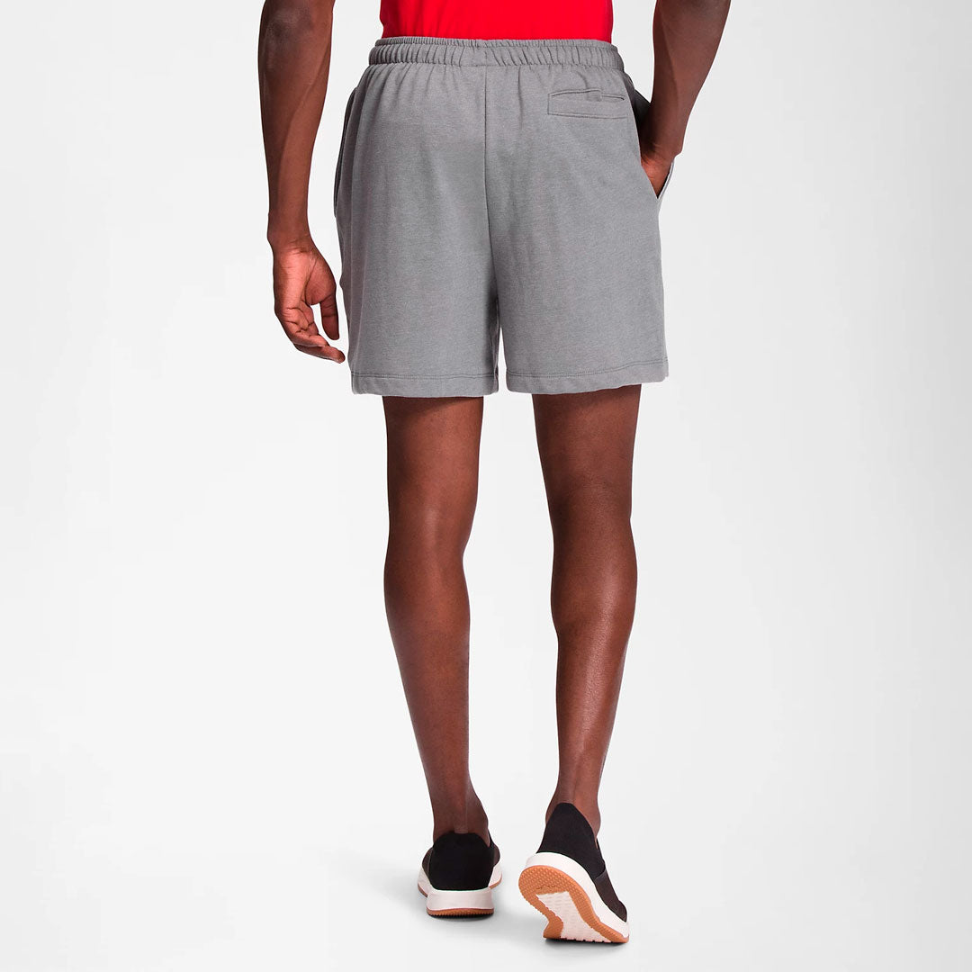 Short the north face basic en gris