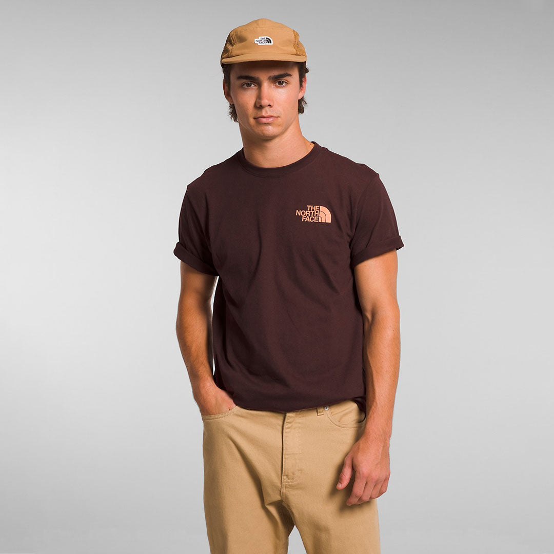 Camiseta the north face Solo Tee en marron