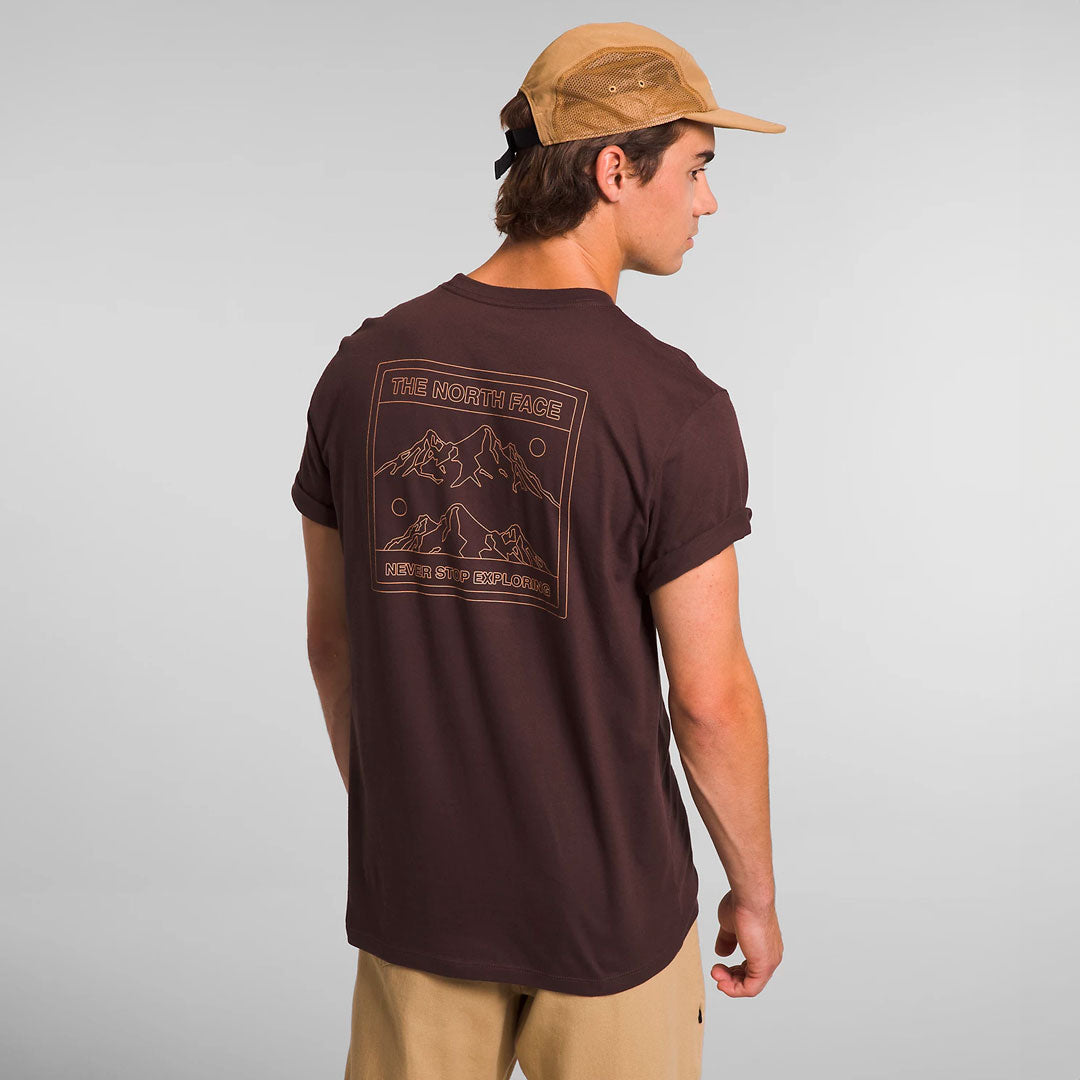 Camiseta the north face Solo Tee en marron