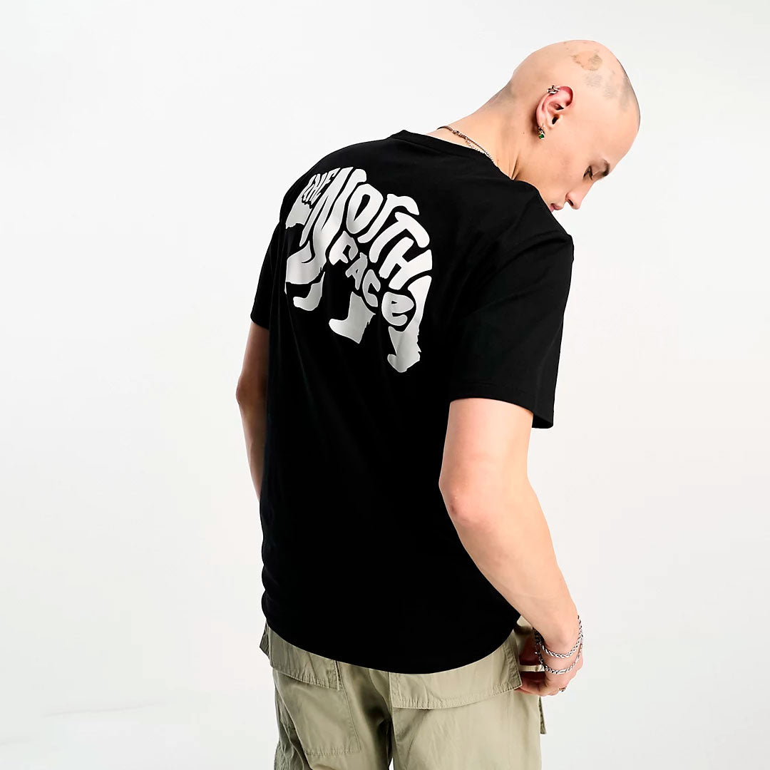 Camiseta the north face Bear
