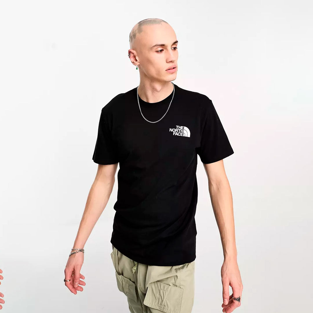 Camiseta the north face Bear