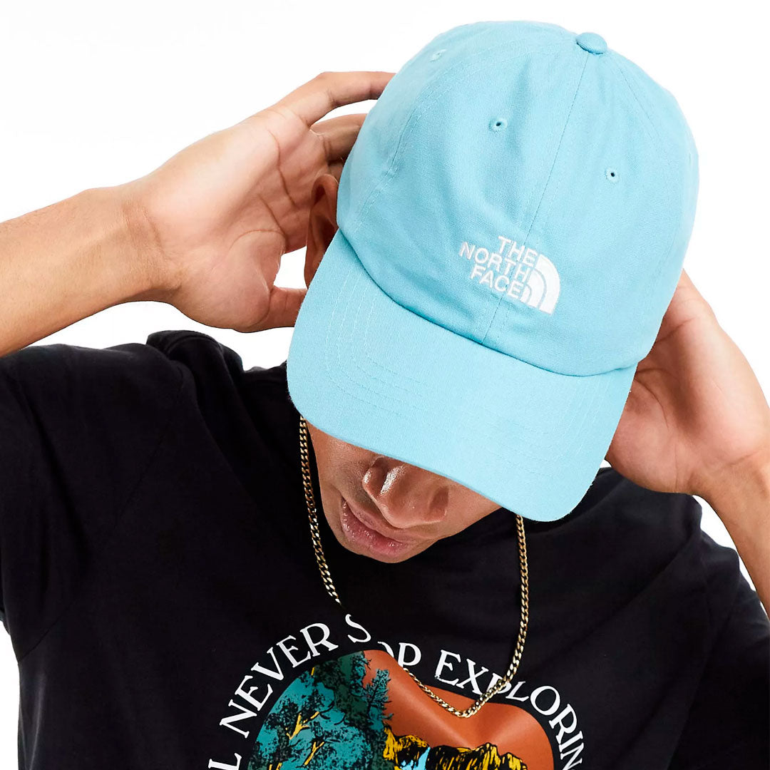 Gorro the north face Basic en celeste