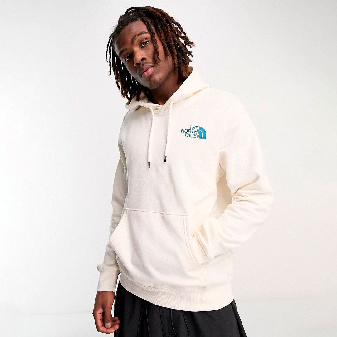 Hoodie the north face Graphic Injection