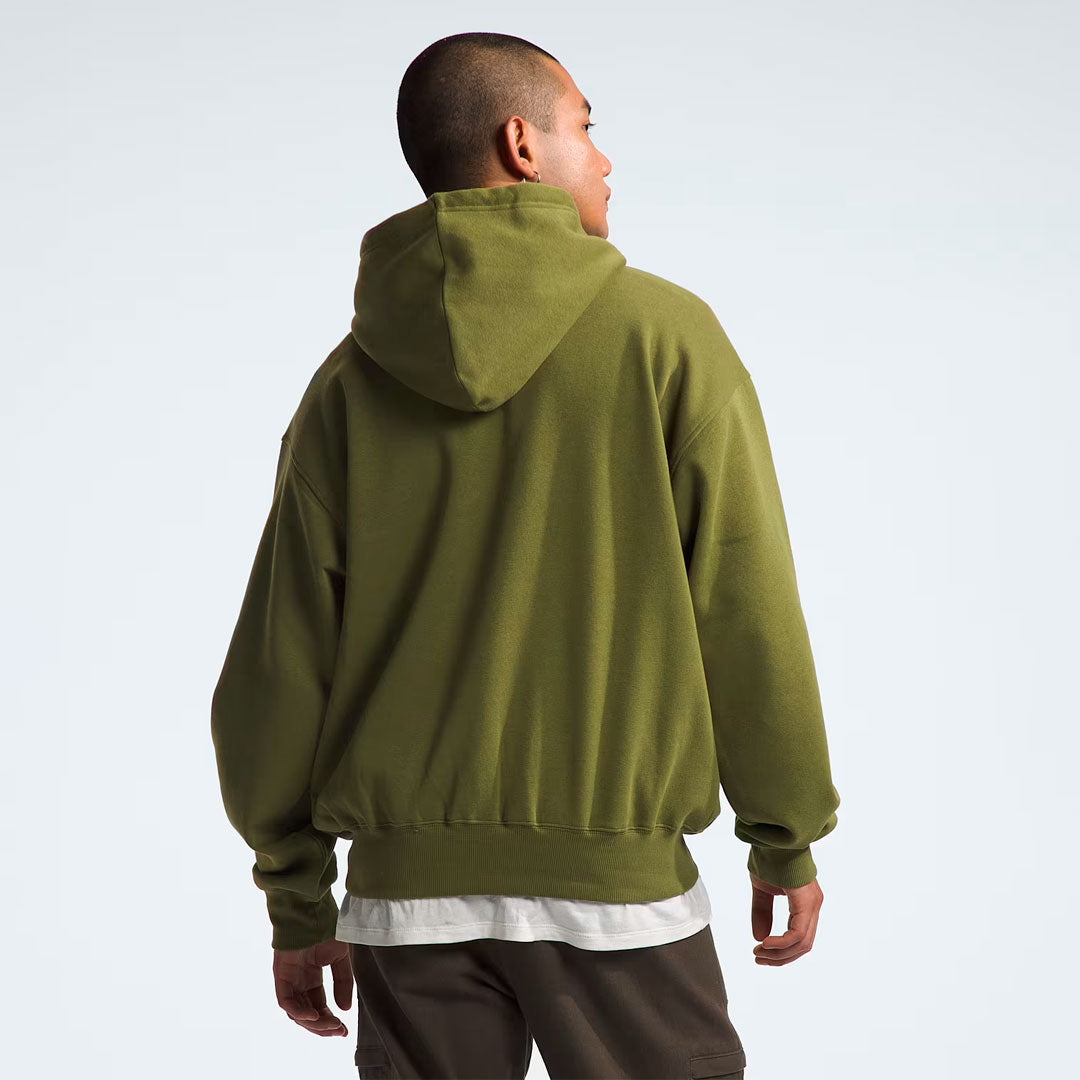 Hoodie the north face Evo en verde