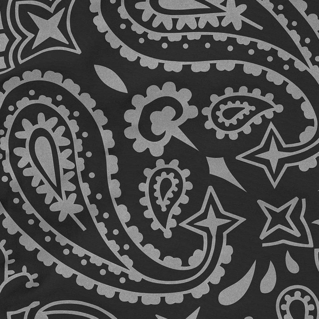 Pantalón Supreme Reflective Bandana