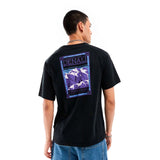 Camiseta the north face Denali v2