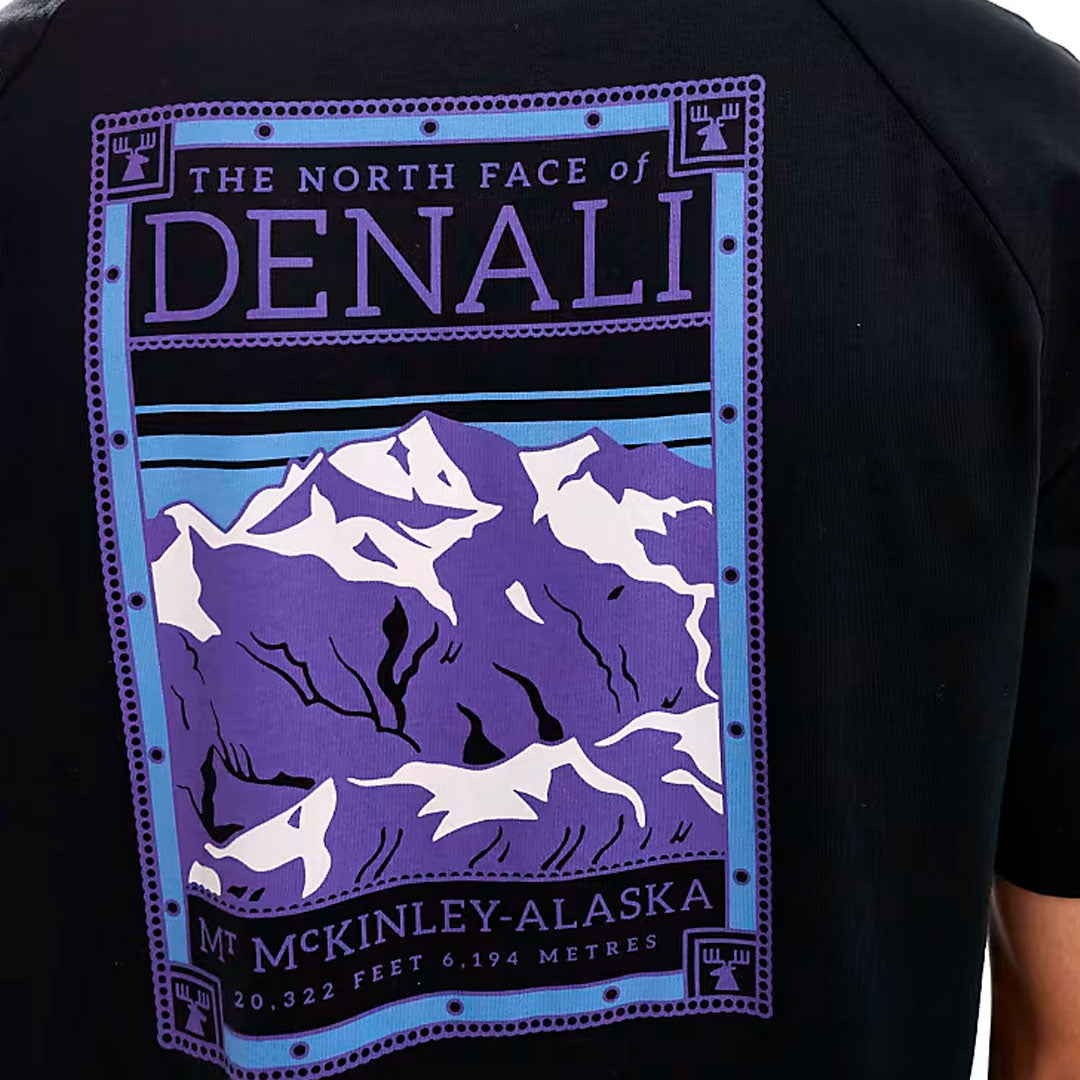 Camiseta the north face Denali v2