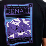 Camiseta the north face Denali v2