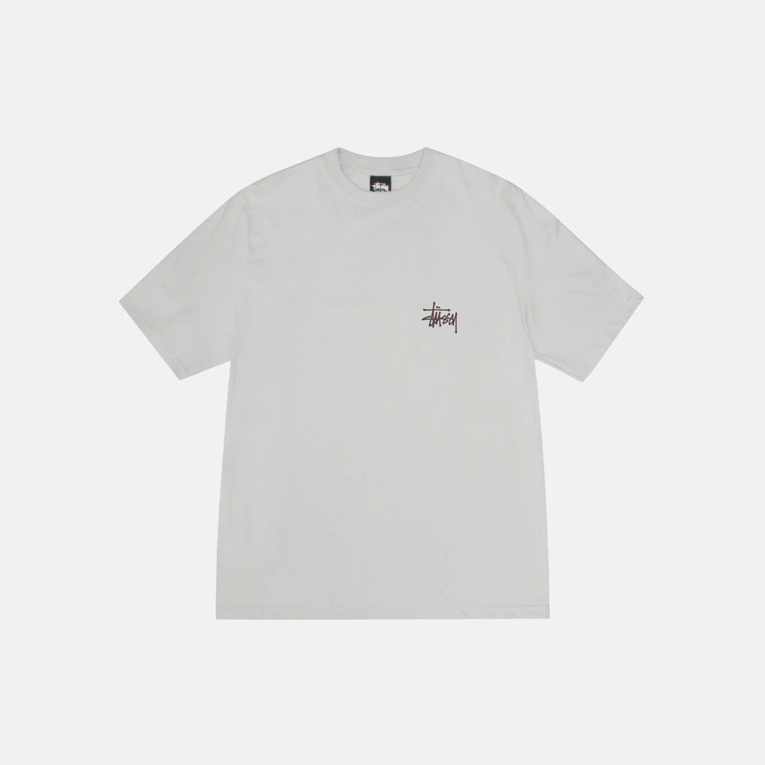 Camiseta Stussy Roach en gris