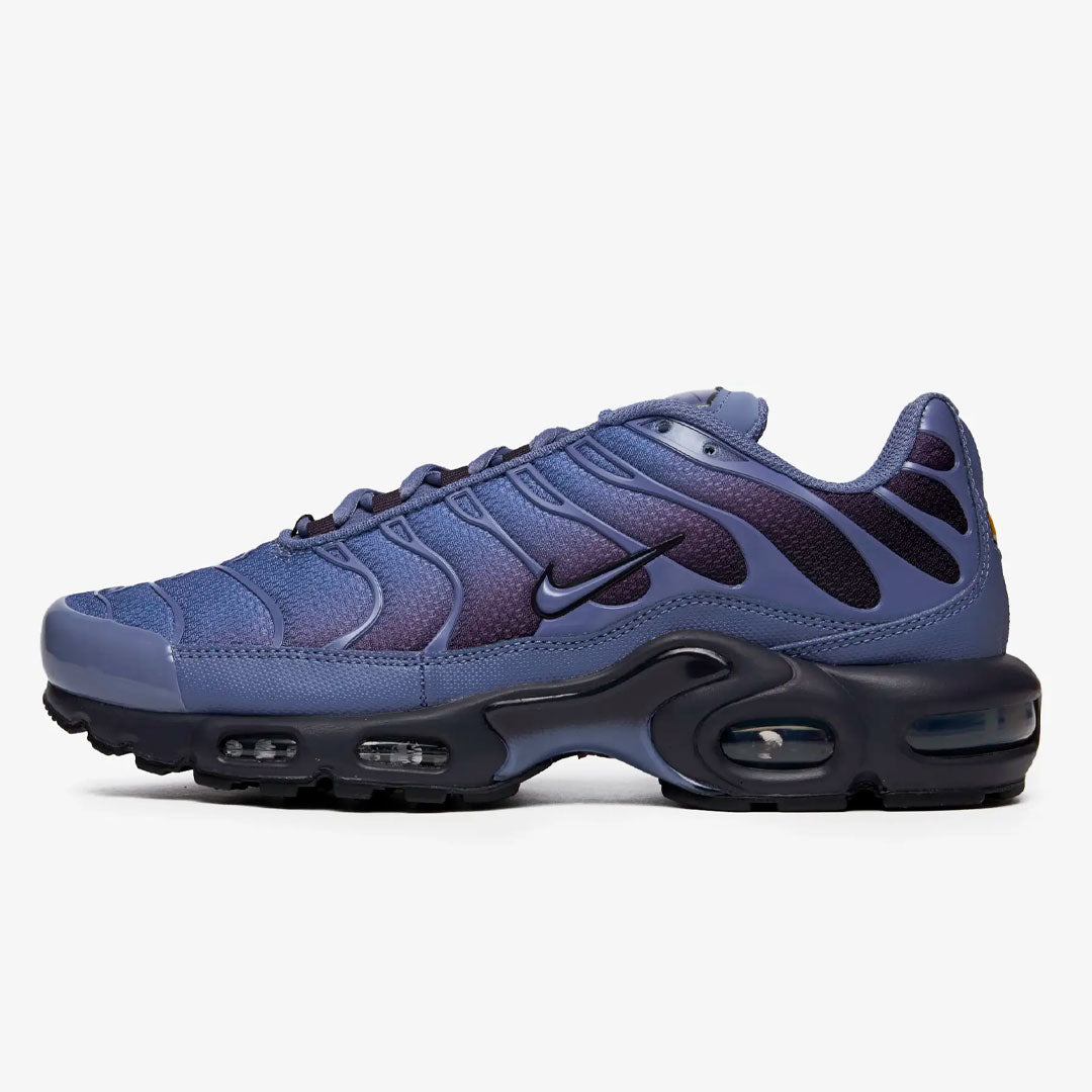 Nike Air Max Plus World Indigo