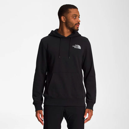 Hoodie the north face Metallic Silver en negro