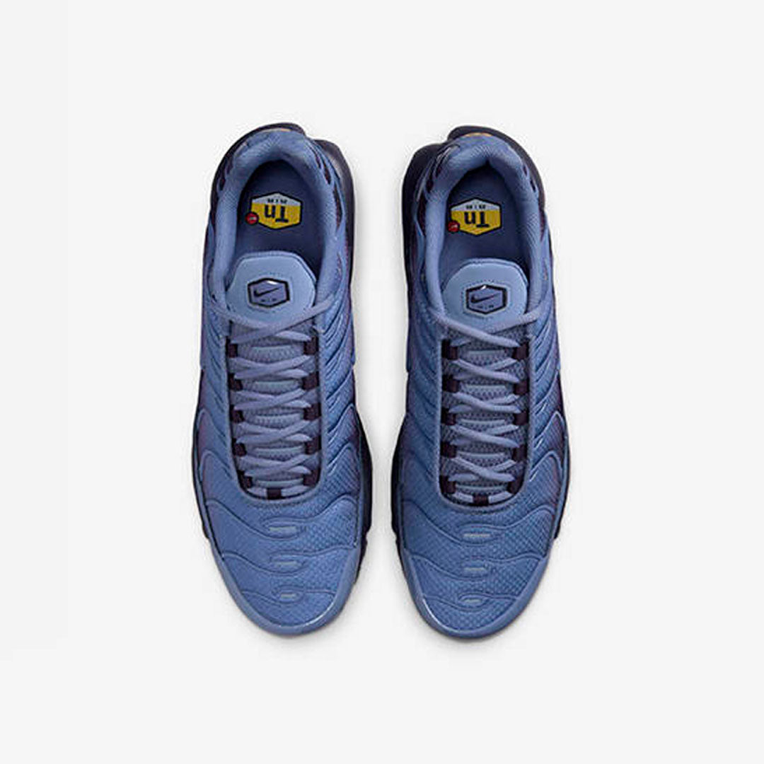 Nike Air Max Plus World Indigo