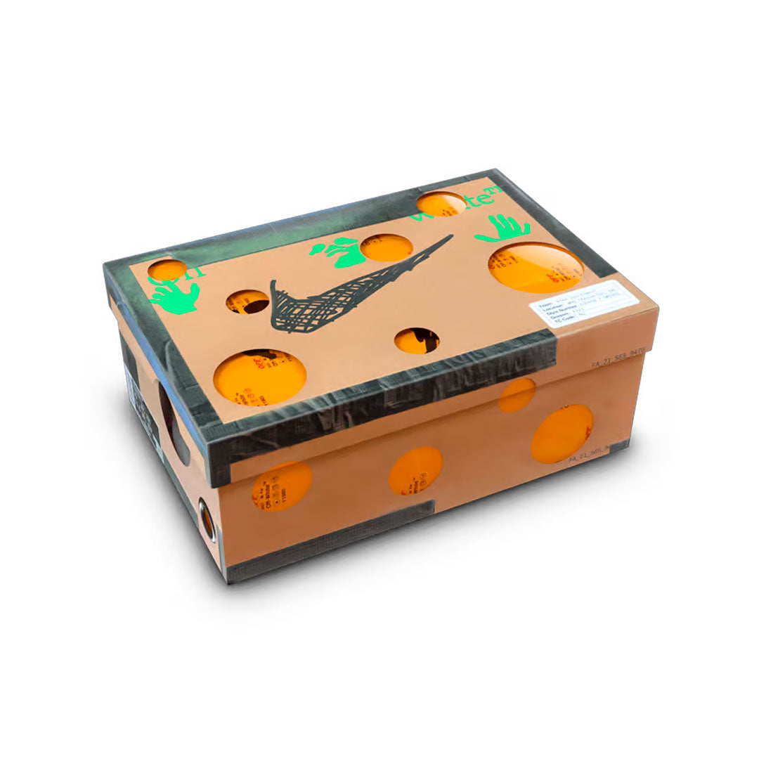 Nike Dunk Low Off-White Lot 5