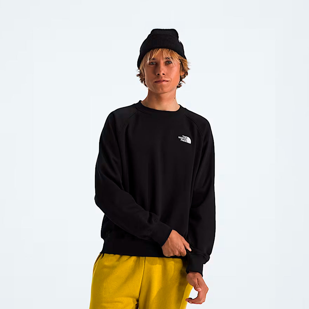 Buzo the north face Evo en negro