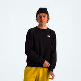 Buzo the north face Evo en negro