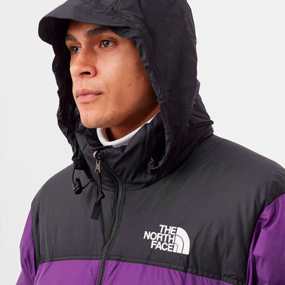 Campera 1996 the north face Retro Nuptse 700 Gravity Purple