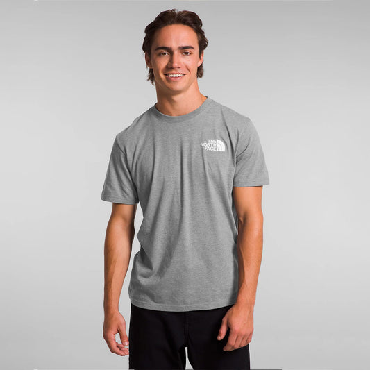 Camiseta the north face Solo Tee en gris