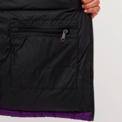 Campera 1996 the north face Retro Nuptse 700 Gravity Purple