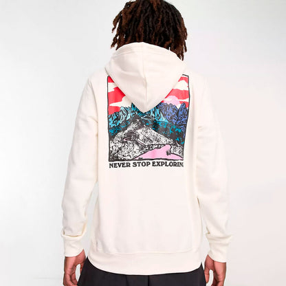 Hoodie the north face Graphic Injection