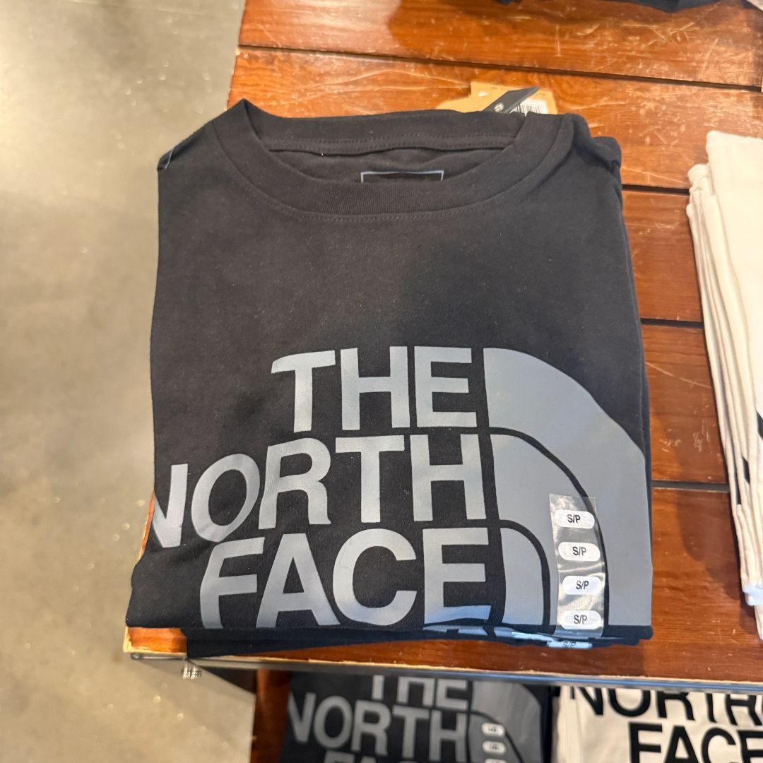 Camiseta the north face 0487