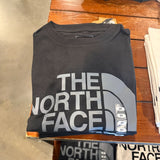 Camiseta the north face 0487