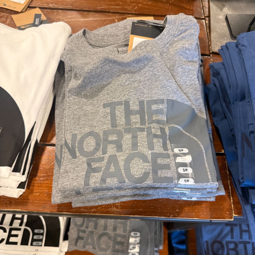 Camiseta the north face 0489