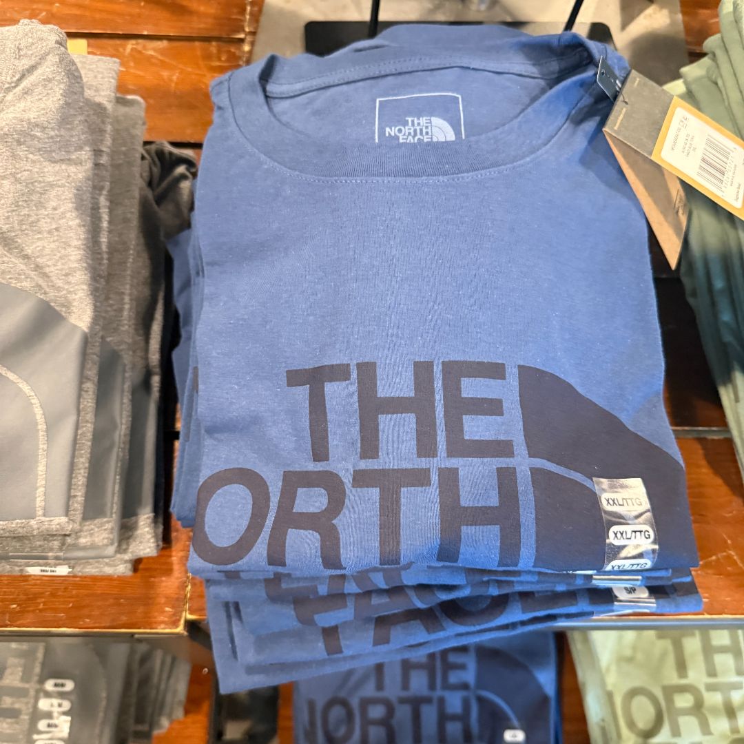 Camiseta the north face 0490
