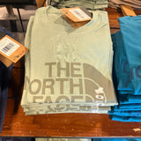 Camiseta the north face 0491