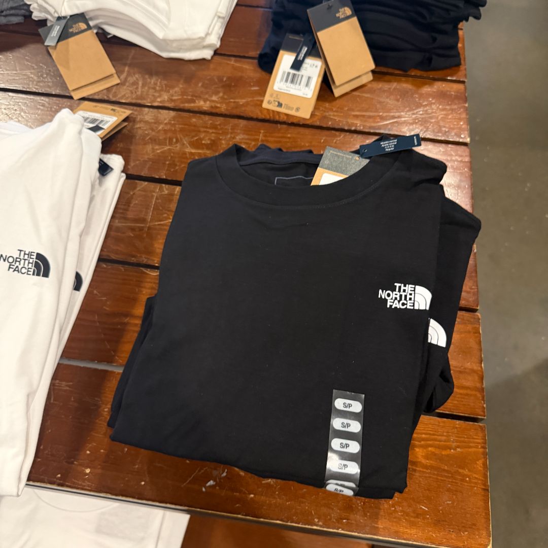 Camiseta the north face 0493