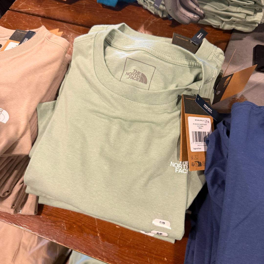 Camiseta the north face 0497